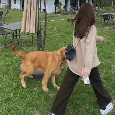主播拯救世界